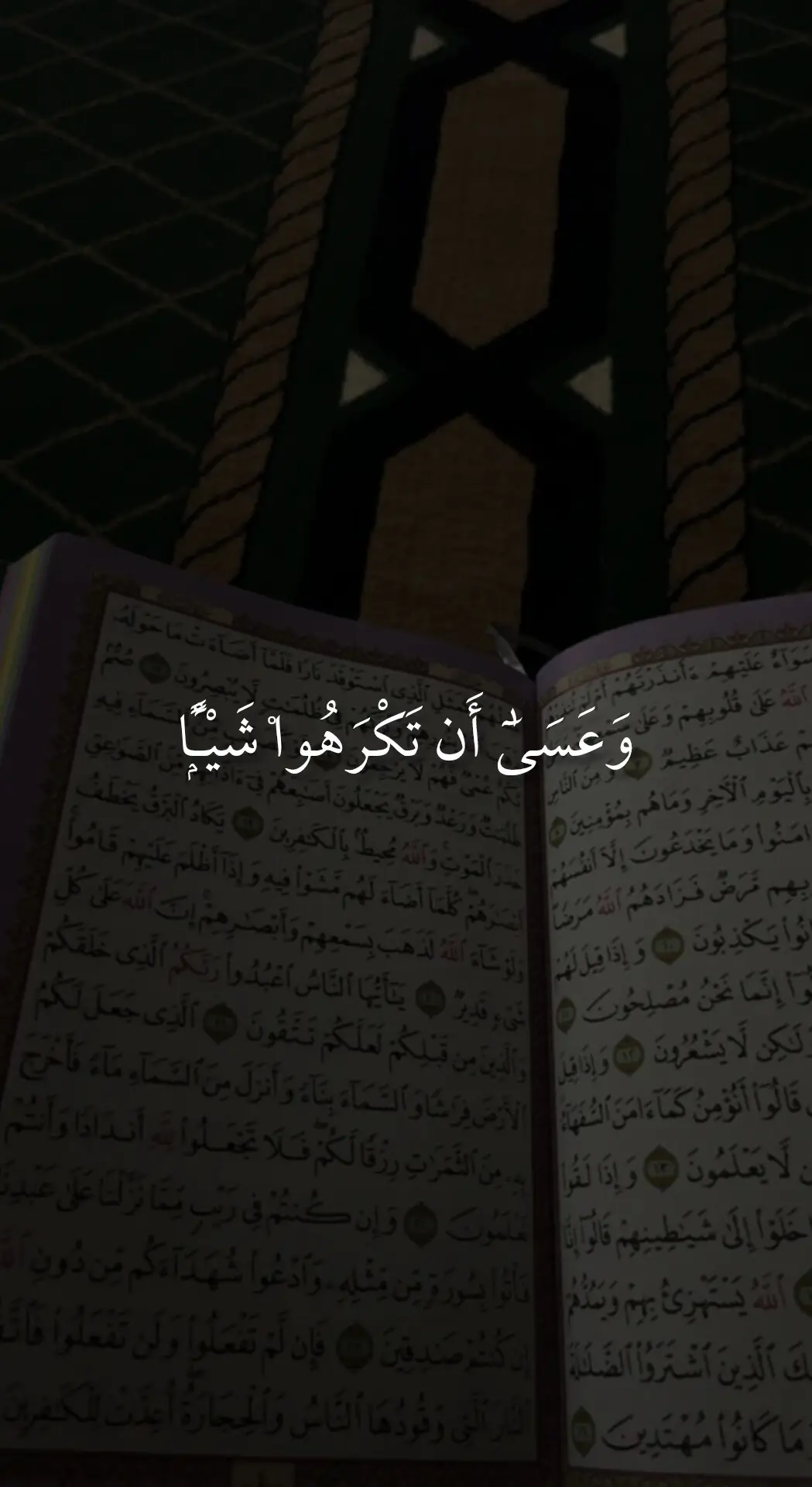 ##القرآن # فارس_عبدالله #القرآن #القرآن_القرآن #تلاوة_خاشعة 