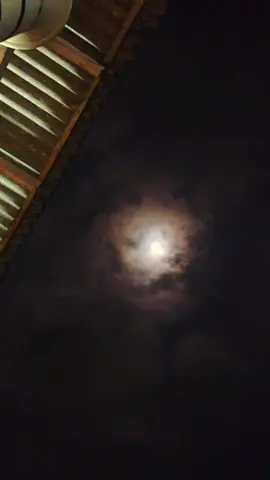 رُبَّ صَبْرٍ لَمْ تَفْهَمْهُ الْآنَ، هُوَ مَا نَجَّاكَ فِي الْغَدِ. Kesabaran yang tak kau mengerti hari ini, bisa jadi penyelamatmu esok hari. #sholawat #instrumen #instrumensholawat #pfyp 