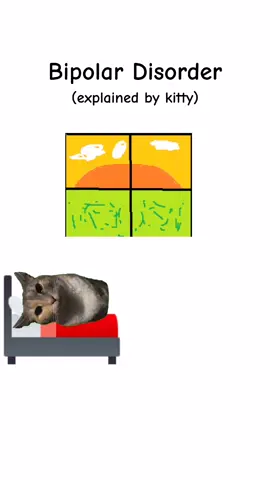 Kitty Explains Bipolar Disorder! #fyp #cat 