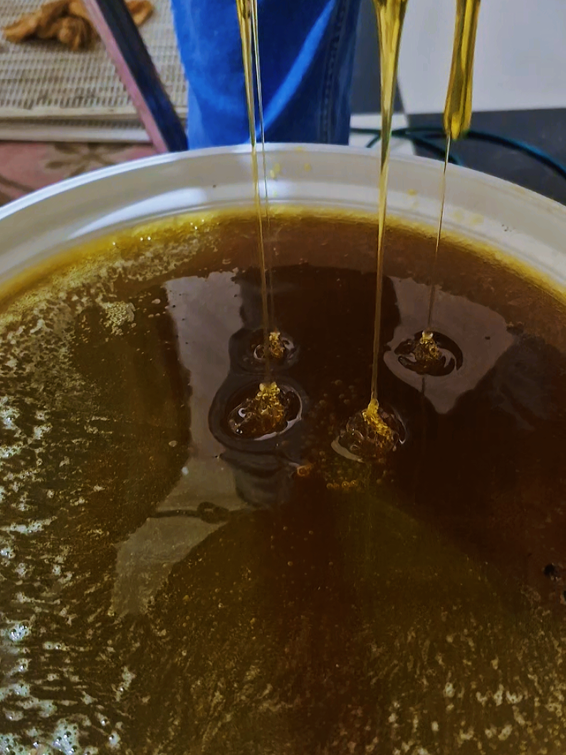 **عسل السدرى الفاخر (خام 100%)**   **للطلب بالجملة في الجزائر**   ✓ طبيعي خام - غير مبستر   ✓ نقاء وجودة عالية   ✓ توصيل لجميع الولايات  **مميزاتنا:**   ✨ جودة تضمن ولاء زبائنك   ✨ أسعار مناسبة لتجار الجملة   ✨ شهادات ضمان النقاء   #عسل_سدر  #جزائري🇩🇿  #عسل_طبيعي #عسل_جبلي #جملة عسل_جملة #مورد مورد_عسل #عسل_السدر #عسل_اصلي #مشروع_ناجح #تجارة_العسل #عسل_خام #الجزائر #تغذية_صحية #منتوج_وطني #استيراد_وتصدير #تجارة_الكترونية_عن_بعد 