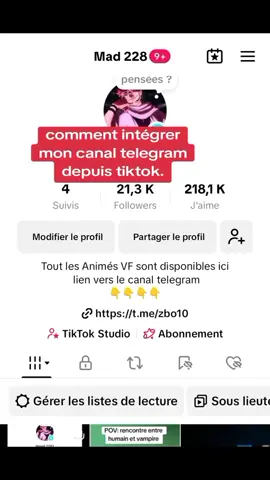 intégrer le canal telegram depuis tiktok.