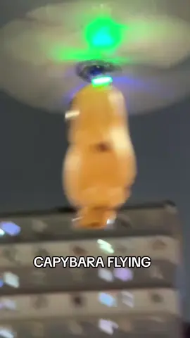 Regalo ideal para el niño y la familia #capybara #fliying #mayor #detalles #familia #diadelniño #tendencia 04243487530 @titaartshop