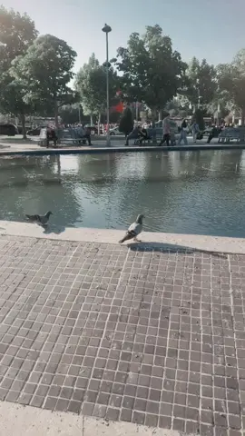 #تصويري📸 #لايك_متابعه_اكسبلور 