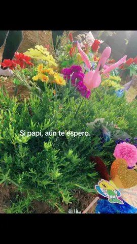 #fyp #teextrañopapa #papateamo #papas #papás #grescreenen #fyp 