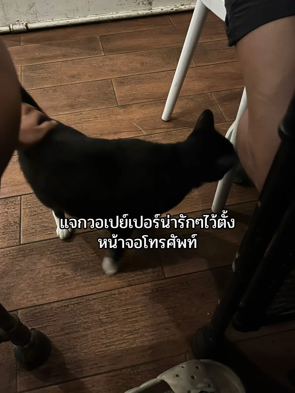 #สกายนานิ #สตางค์วินนี่ #วินนี่สตางค์ #จูเนียร์ #มีนปิง #โอร์มฟลุ๊ค #นีโอหลุยส์ #เน็ตเจมส์ #จอสกวิน #ต้าห์อู๋ออฟโรด #เอ็นเจโตโต้ #จู่เนียร์มาร์ค #วิวจูน 