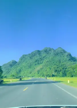 #🍁 