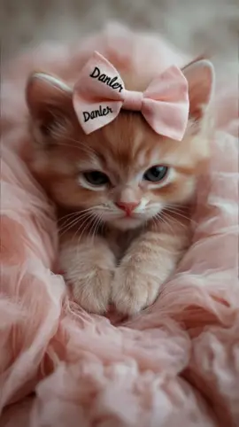 ❤️ Совет от милого говорящего котенка 🫣😂 #cuteanimalsdanler #милыйкотик #говорящийкот #Юмор #смехдослез #прикол #улыбнись #позитив #вреки #рекомендации 