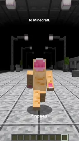 I added the middle dimension to #Minecraft #cursedminecraft #minecraftmemes 