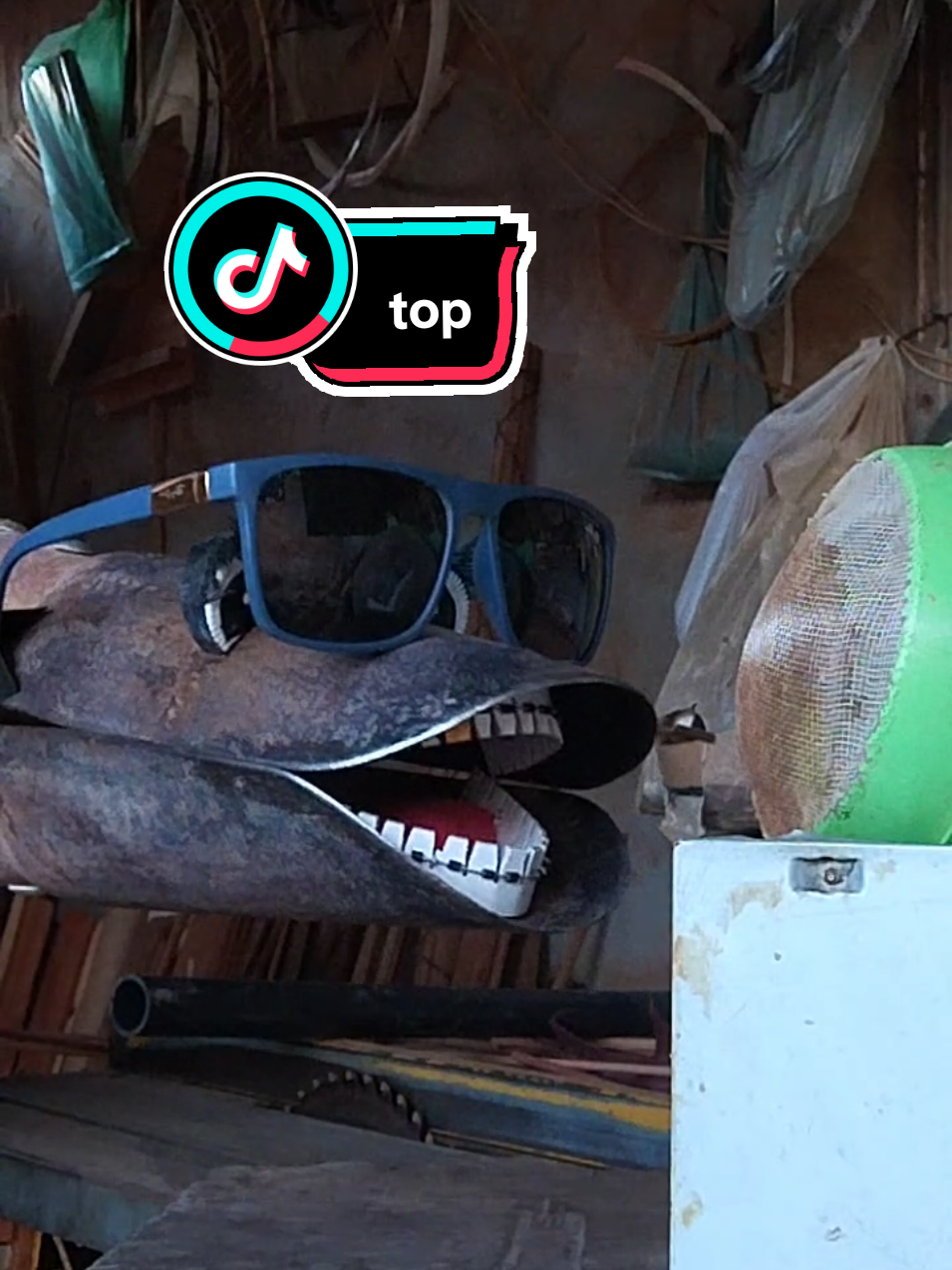 cavadeira cantora #ferramenta #cavadeira #dublagem 