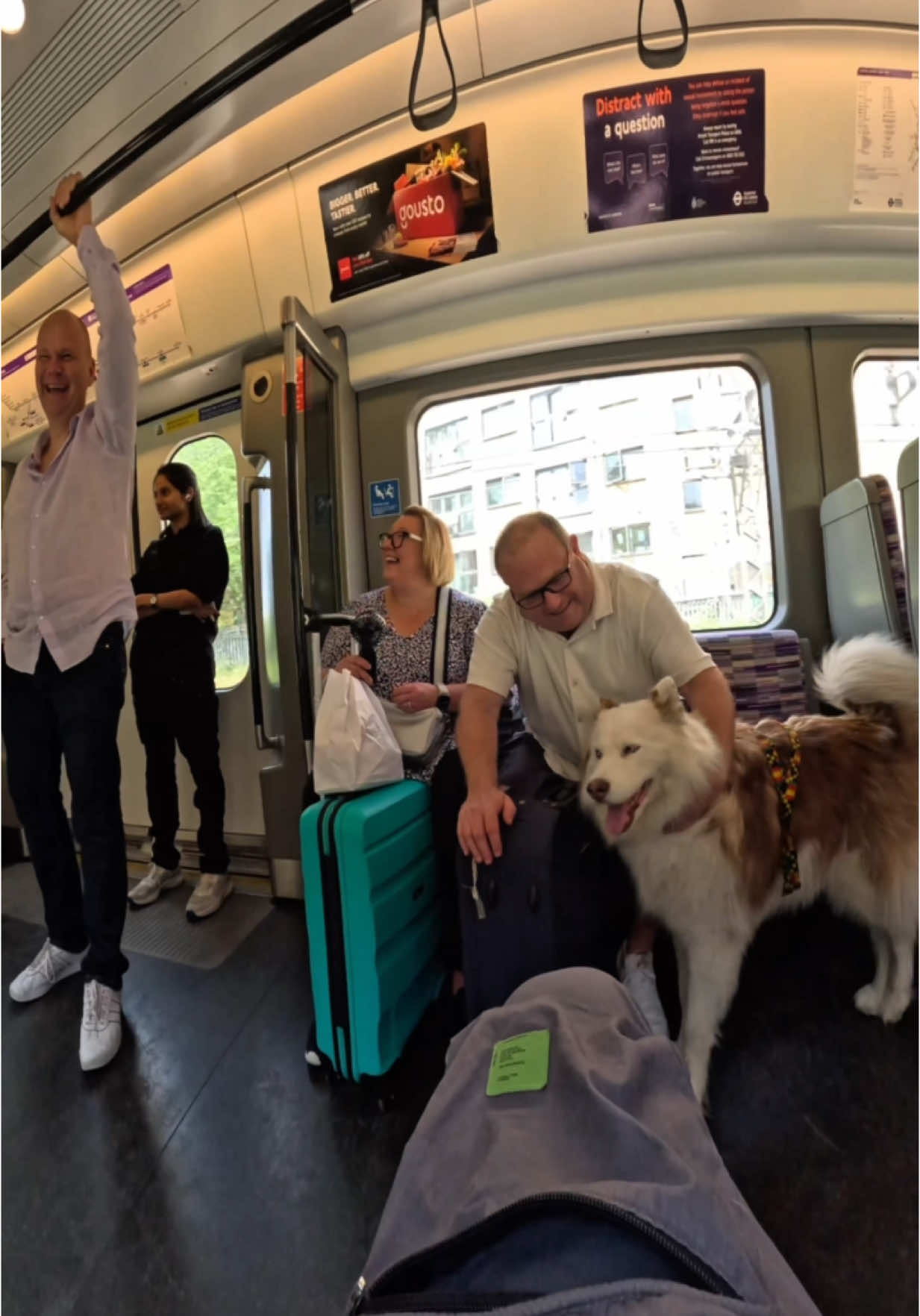 Train interactions with my dog!!  #husky #trains #tfl #subway #viola #fyp #fypp #foryou #viral #doglover 