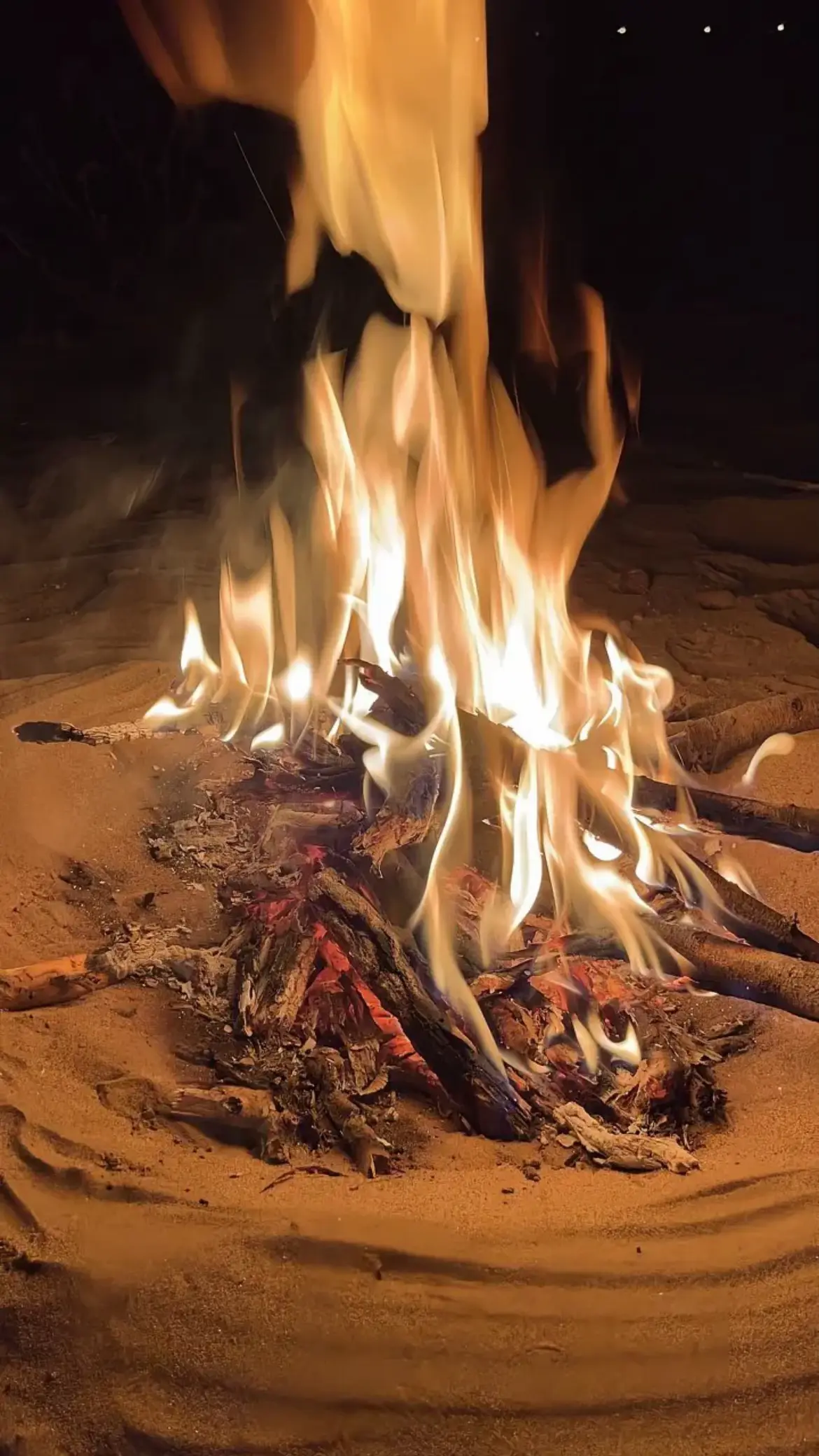 #اكسبلور #fyp #لايك #اجواء_الشتاء #الخرج_الرياض #الشعب_الصيني_ماله_حل😂😂 #احتراف #بر #نار #صور 