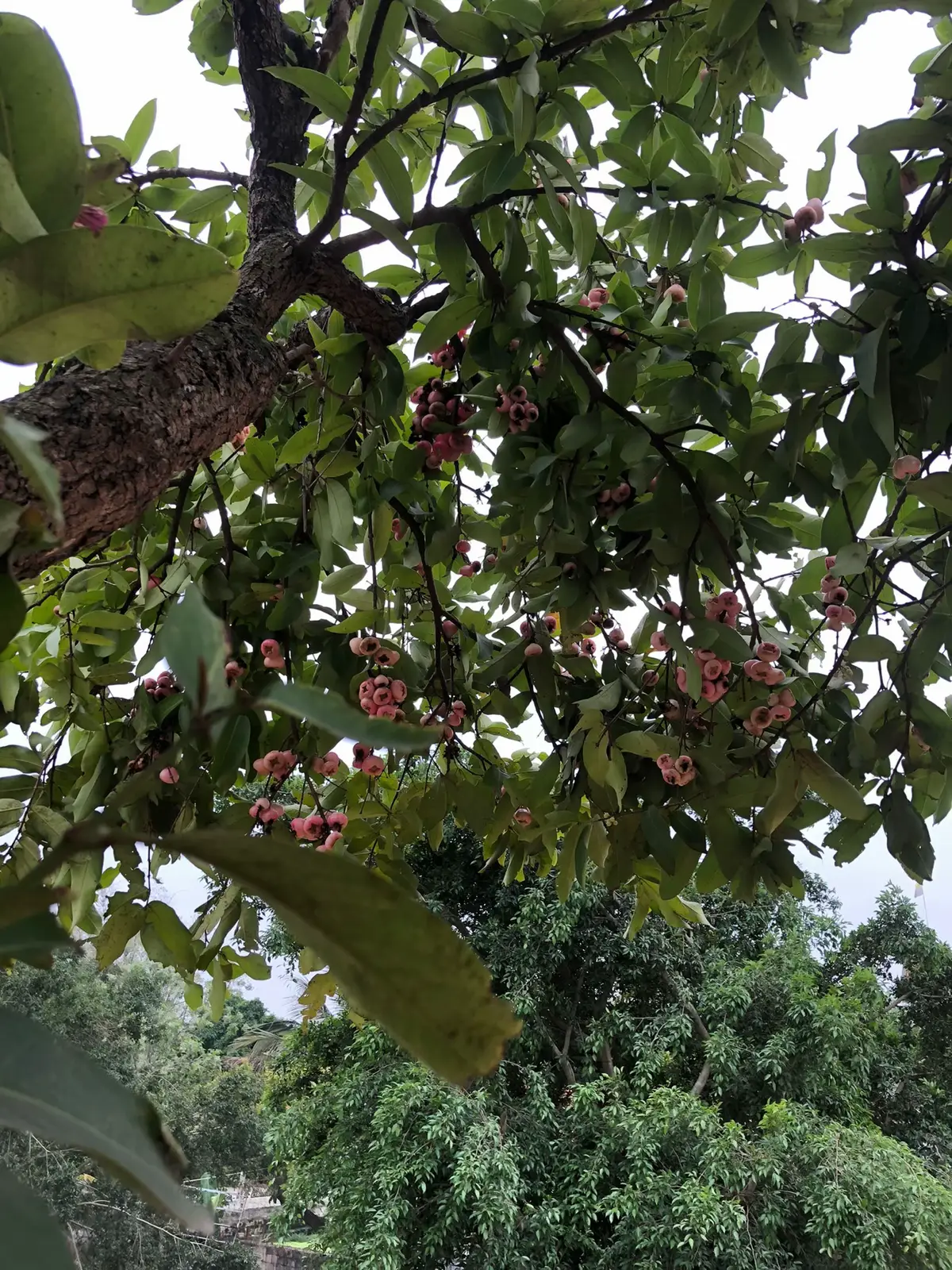 Càng lớn thì càng...😌
