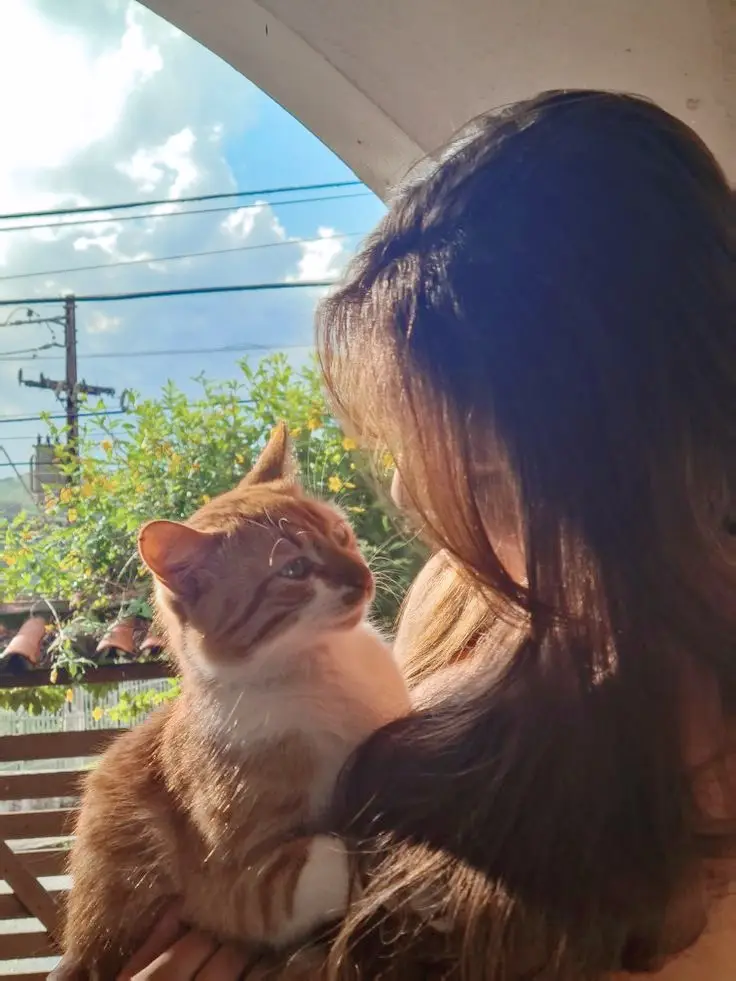 #هادئة_كأن_لا_شأن_لها_بكل_ما_يفعله_البشر #نجمة #نجوى #نجوى_كرم👏👏 #capcut100k #capcut #wedding #nofilter #nofilter #food #foo #instagram #fypppppppppppppppppppppppppp 