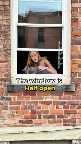 The Window is…… 🤭🐈#ariannitalagringa #learnenglish #englishwithariannitalagringa #english #englishteacher #inglesonline #teacher #learn #ingles 