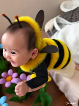 Ong Pooh tới đây #embedangyeu #ai #aifilter #beefilter #capcut