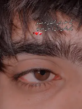 مجھے معلوم نہیں محبت کی تعریف مگر تجھے دیکھوں تو دل کو سکون ملتا ہے🥀❤️❤️‍🩹#Biscoitocut #امر۔رائٹس #fyp #mention #۱۰۰k 