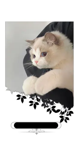 غريبة جدا تلك الطريقة التي إختفت فيها لهفتي إتجاه كل شيء 🥀🖤#CapCut 