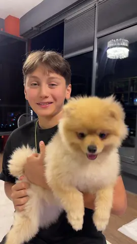 Akıma ciroda katıldı 😁