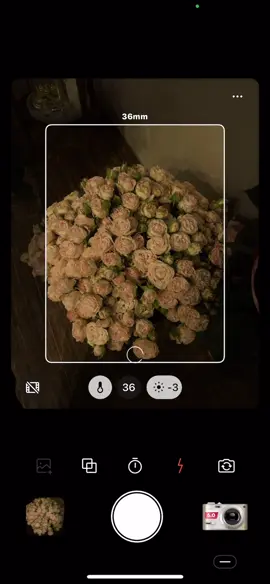 #дазкам #цветы #букет #репосты #рекомендации 