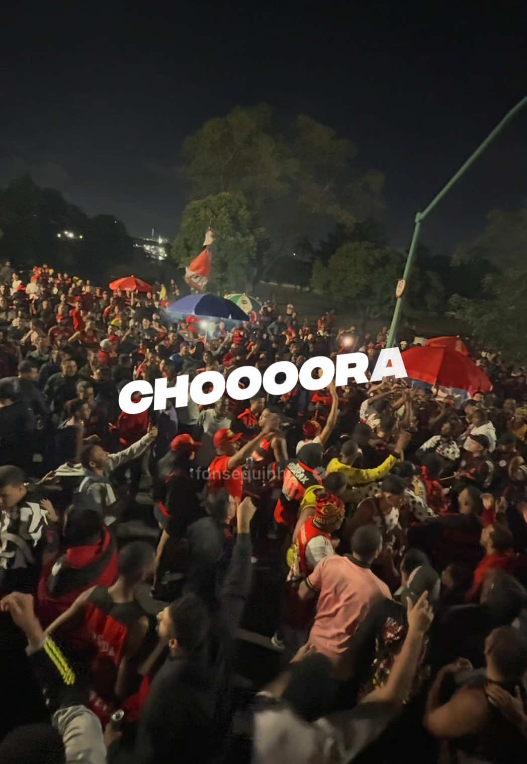 Quem não arrepia nessa, é dodói da cabeça. #flamengo 