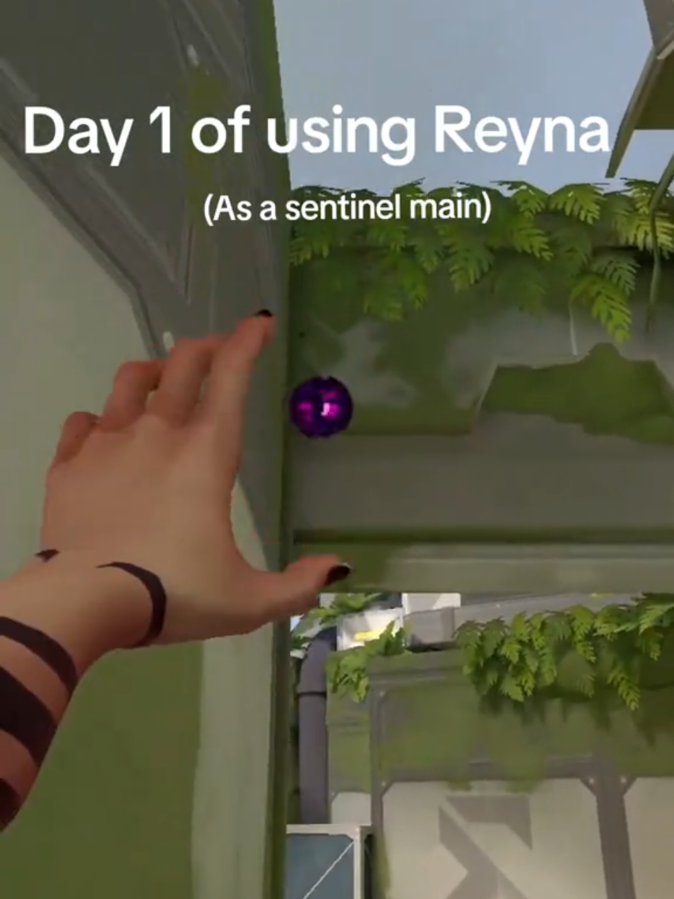 Sentinel main's worse nightmare P.s: Low elo player #valophillipines #valoph #valorantphilippines #valorantph #valo #Valorant #valorantfunny #valorantfunnymoments #valofunny #valofunnymoments #sentinel #sentinelmain #valorantsentinels 