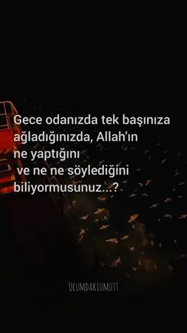 Allah; her yakarışınızı ve her damla göz yaşınızı işitir o halde o na tam olarak güvenin ve ümidinizi kesmeyin sonunda herşey yoluna girecek.  🤲🤲🤲 inşallah...