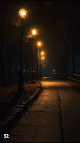 @#somaliTikTok TikTok  🥹❤️‍🩹 Wll please follow iso dhex 🥹