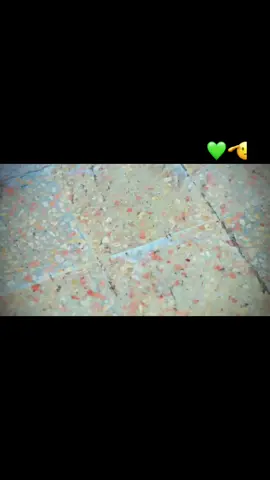 #สโลว์สมูท❤️‍🔥👑✨🦅 