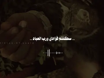 سكنتم فؤادي ورب العباد ..🍂🖤 #01_osaid  #اناشيد #اناشيد_بدون_موسيقى #اناشيد_بدون_ايقاع #نشيد #نشيدك #منشد #تصميمي #تصيمم_فيديوهات🎶🎤🎬 #اكسبلور  #fyp #you #treanding #explore #virale #explorerpage #viralvideos #anasheed #nasheed 