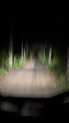 A little night ride in the YXZ last night #woods #trails #nightride #yxz #sxs #yamaha #offroad #utv #trails #utvlife #yamahayxz #sxslife #sidebyside #utvaddicts