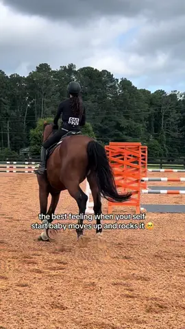 so so proud of him 🥹🥹 he felt super ready it felt easy, I’ll never regret taking things slow with him ❤️ #fyp #equestrian #foryoupage #fyppppppppppppppppppppppp #fypシ゚viral #horsegirl #viral #giant4yearold #horselife #viralvideo #horsetok #barn #horsesoftiktok #fypシ #ride 