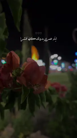 وعيني على شوفتك ما عندها صبرا 😔♥️ 