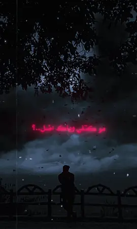 #شعراء_وذواقين_الشعر_الشعبي #fypシ゚viral #مصممين_فيديوهات♥🎬🎶 #حيدر_العابدي 