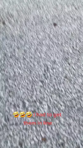 @fatboy @famousangel77 