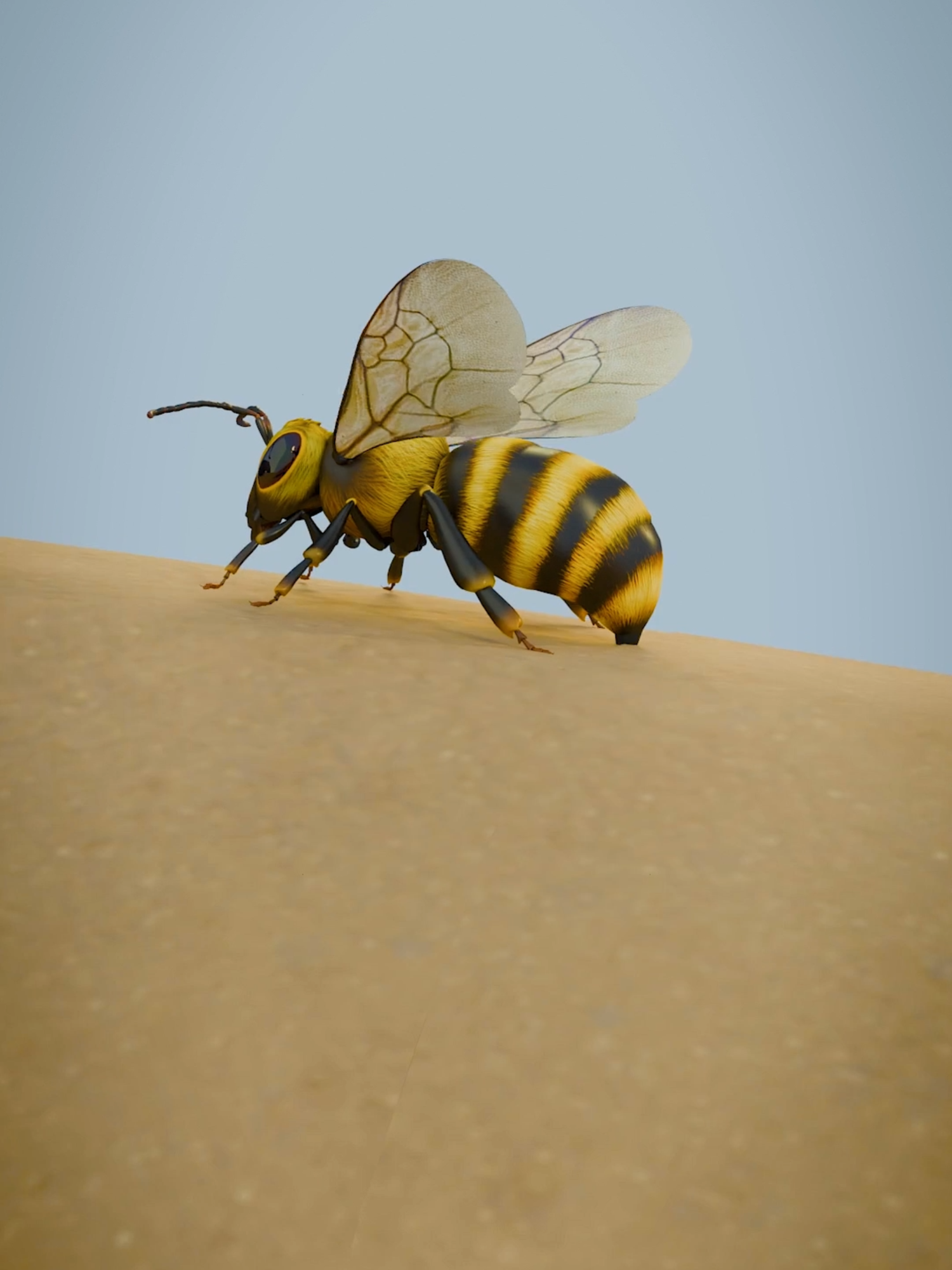 Ever wondered how a bee stings you and why the wound hurts?