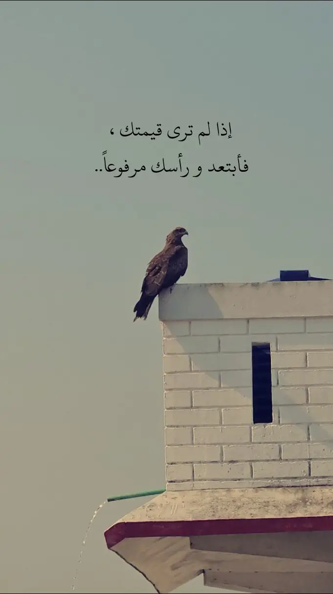 #صعدو_الفيديو #لايك__explore___ #لايك_متابعه_اكسبلور_كومنت 