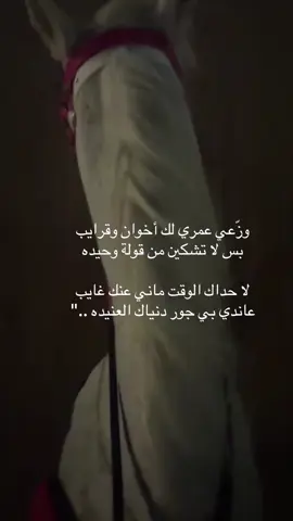 #سليمان_المانع ##اكسبلورexplore❥🕊 #اكسبلورررررررررررررررررررر💥🌟💥🌟💥💥🌟🌟🌟🌟🌟 #you #ابوحصه_ابوعجيب #fypシ #خيول #خيل #خياله🐎 
