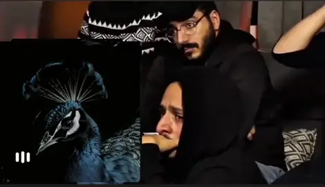 لو الدنيا دي مبتسمعنيش مش معني كده اني العيب فيا . . . . . . . #creatorsearchinsights #foryoupage #song #tiktok #fyp #foryoupageofficiall #النيه #ليجي_سي #حزين #sad 