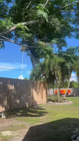 anyone else who doesn’t own a generator!? #relatable #floridalife #hurricane #hurricaneseason #florida #floridacheck #foreveryone #teamwork #fypシ 