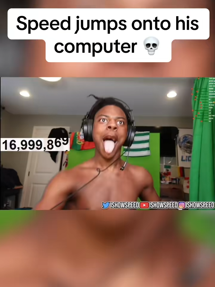 Speed jumps onto his computer 💀 #speed #fyp
