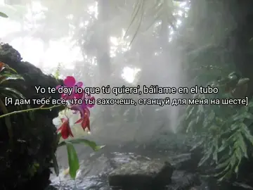 El Alfa – Suave || ссылка на тгк в профиле  #переводпесни #текстпесни #lyrics #fyp #fypageシ #рекомендации 