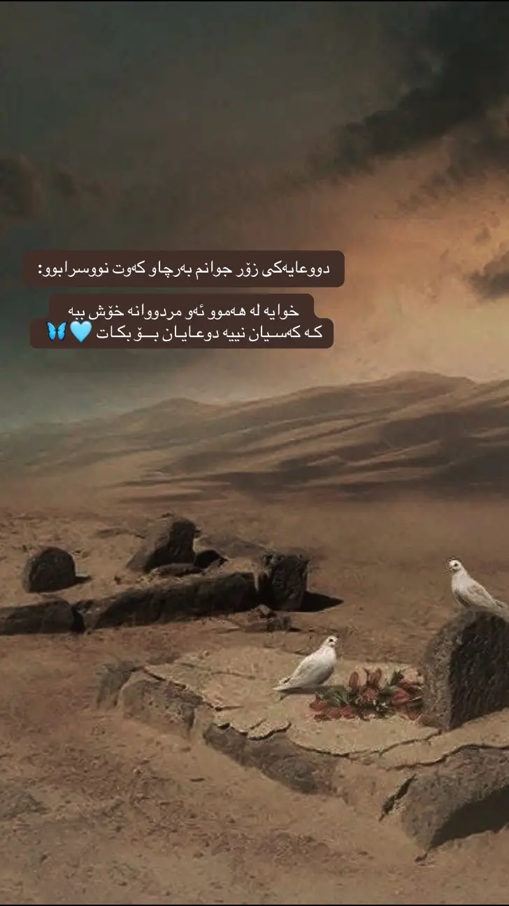 #islamic_video #foryou #muslim #tiktok #allah #allahuakbar #kurdistan #iraq #slemani #hawler_slemani_dhok_karkuk_hallabja #♥️ 🤲