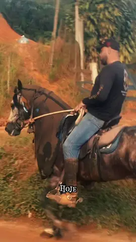 🙏🏼🐴