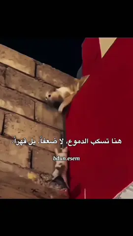 @أبو جبريل الأم أم مهما حصل.!!💔تابعني لكي استمر❤️ #bdun_esem #ال_ادم #explore #اكسبلور 