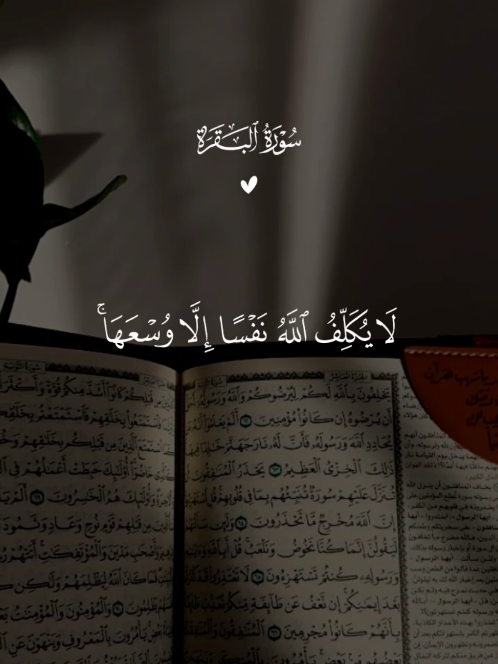 لايُكَلِّفُ اللَّهُ نَفْسًا إِلَّا وُسْعَهَا #قران #مشاري_العفاسي #quran #قران_كريم #تلاوة_خاشعة 