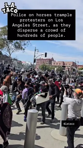 Police are trampling over peaceful protestors with their horses. ~ @Lexis-Olivier Ray 