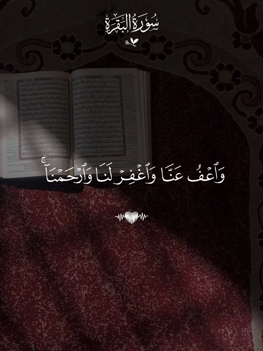 ربنا ولا تحملنا ما لا طاقة لنا به 🤎  #قران #فارس_عباد #قران_كريم #تصميم_karimmohmed30 