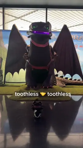 the crossover event of the century has arrived. toothless… meet toothless 🐉🤝 #HowToTrainYourDragon #toothless #HTTYD @httydragon