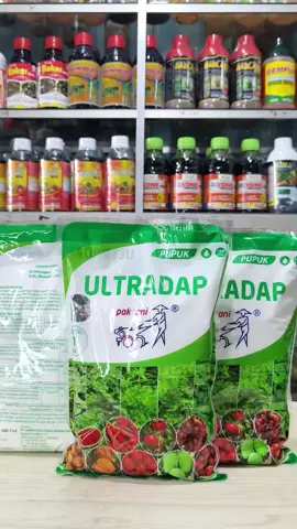 Ultradap Pak Tani Kemasan Pabrik 1 Kg #ultradap #pupuk #npk #npk161616 #insektisida #fungisida #petani #videoviral #fyp