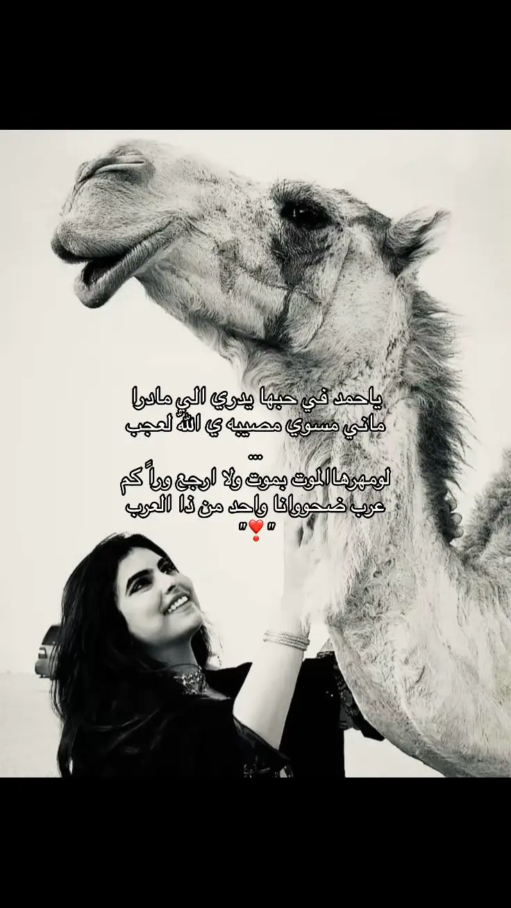 #ابراهيم_بن_ذياب #اكسبلور_explore #fypシviral #مالي_خلق_احط_هاشتاقات #جيراتت📮 #جيراتت📮١6 #📮 #❣️ #❣️❣️❣️ #اكسبلور #unfrezzmyaccount #foryou #بنترست #bdtiktokofficial #اقتباسات #fyp #شيلات_روعه_خواطر_ذوق_طرب_تصميمي #شيلات #شيلات_فخمة❤️ #شيله #ياحمد_في_حبها_يدري_االلي_مادرى #ياحمد_في_حبها #رمش_عينه_ياحمد #جمال #explore #vairal #foryourpage 